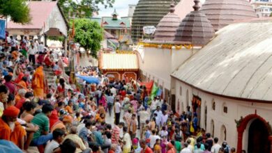 Photo of अंबुबाची महोत्सव : मां कामाख्या धाम पर श्रद्धालुओं का उमड़ा जन सैलाब