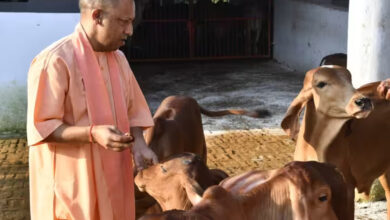 Photo of गोरखनाथ मंदिर की गोशाला में मुख्यमंत्री ने की गोसेवा