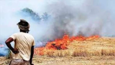 Photo of इटावा में पराली जलाने पर वसूला गया डेढ़ लाख का जुर्माना